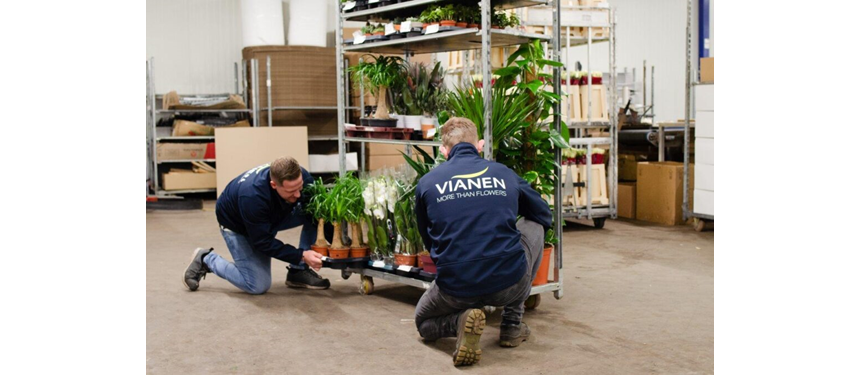 Standaardisatie bij Vianen Flowers