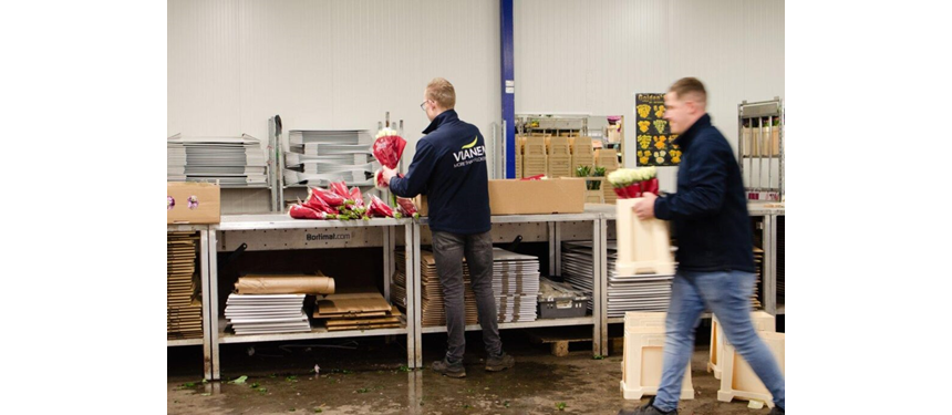 Standaardisatie bij Vianen Flowers