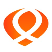 Q Consult Progress Partners logo